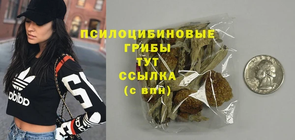 крисы Пересвет