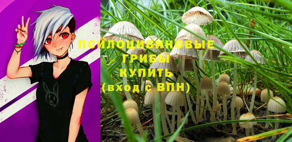 дживик Заволжск