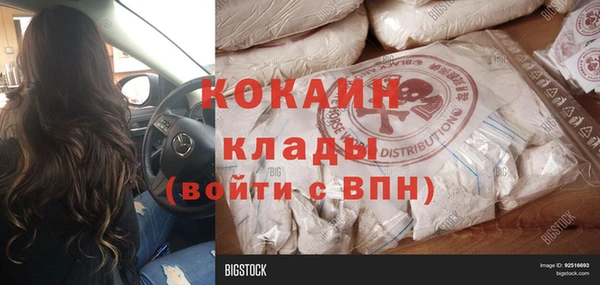 ПСИЛОЦИБИНОВЫЕ ГРИБЫ Зеленодольск