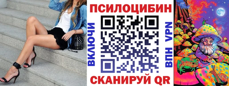 Псилоцибиновые грибы ЛСД  Купить закладки  Егорьевск 